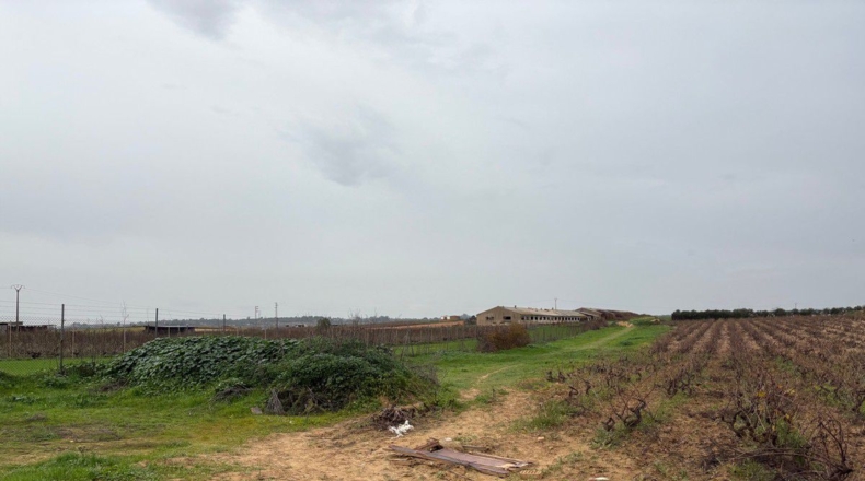 Huelva - Bollullos Par del Condado - 10400m2