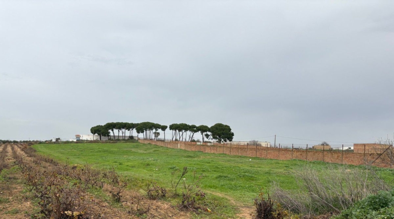 Huelva - Bollullos Par del Condado - 10400m2