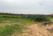Non-developable land for sale in Bollullos Par del Condado ref: TR252419 photo