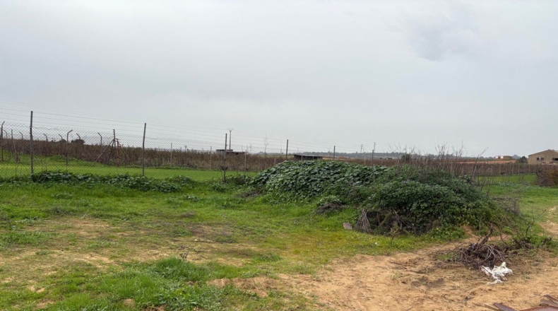 Huelva - Bollullos Par del Condado - 10400m2