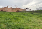 Non-developable land for sale in Bollullos Par del Condado ref: TR252419 photo