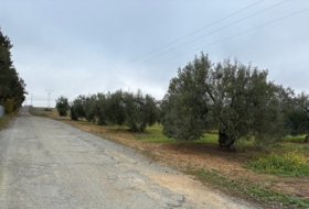 Almonte 21500&nbsp;m²