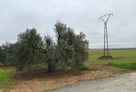 Almonte 21500&nbsp;m²