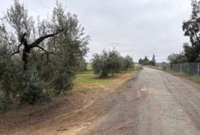 Almonte 21500&nbsp;m²