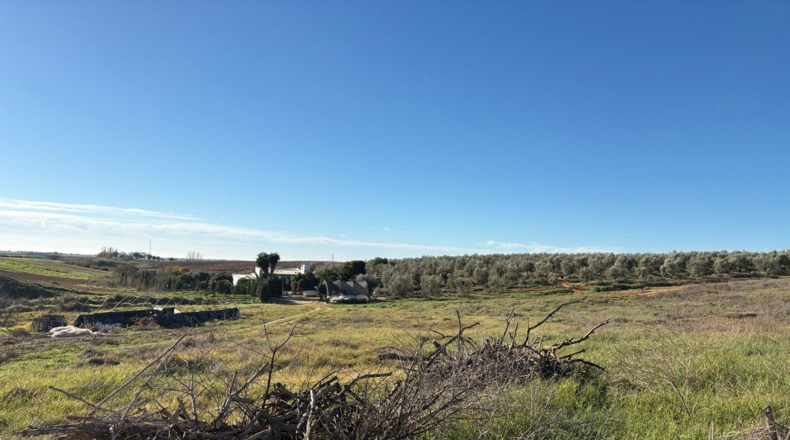 Huelva - Almonte - 57000m2
