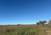 Rural estate for sale in Almonte ref: TR274690 photo