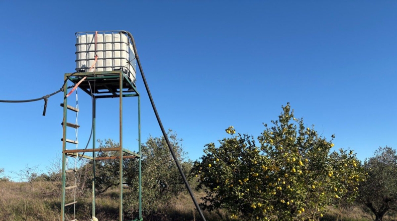 Huelva - Almonte - 57000m2