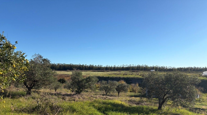 Huelva - Almonte - 57000m2