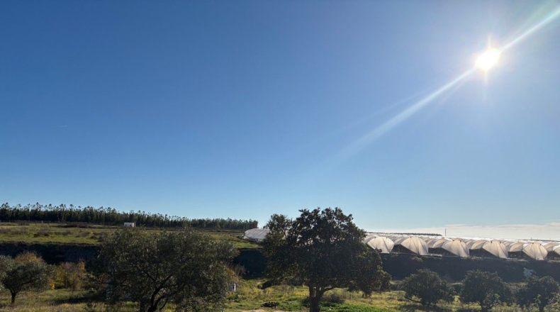 Huelva - Almonte - 57000m2