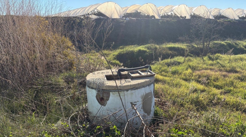 Huelva - Almonte - 57000m2