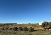 Rural estate for sale in Almonte ref: TR274690 photo
