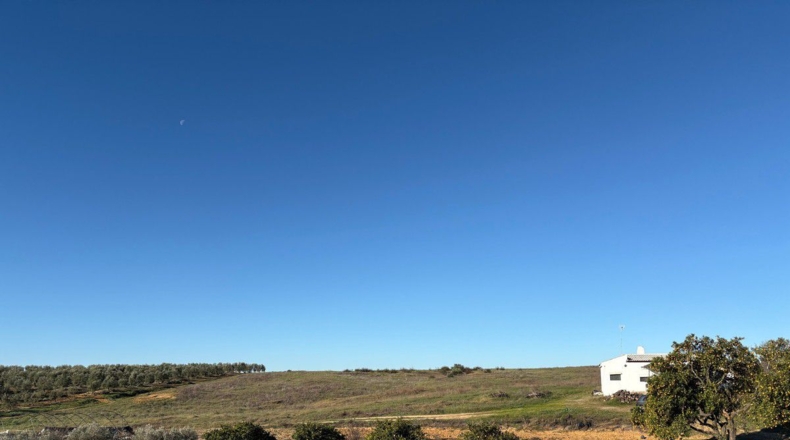 Huelva - Almonte - 57000m2