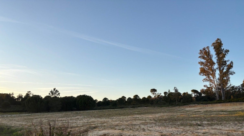 Huelva - Bollullos Par del Condado - 8900m2