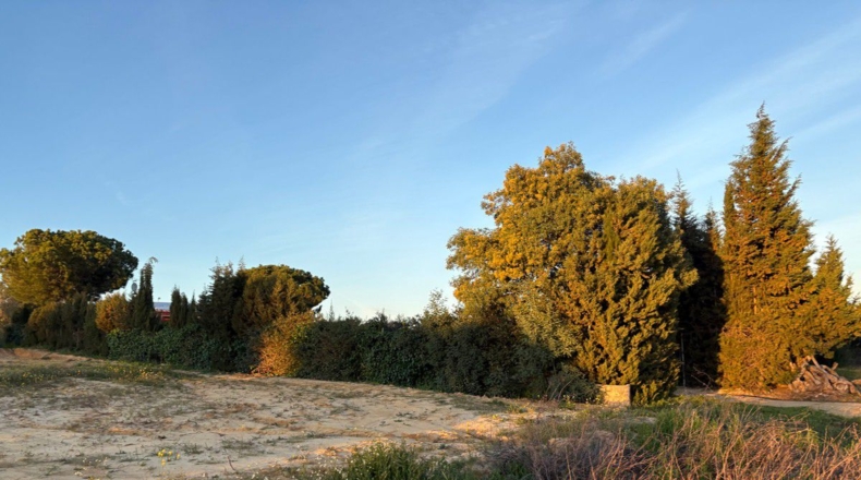 Huelva - Bollullos Par del Condado - 8900m2