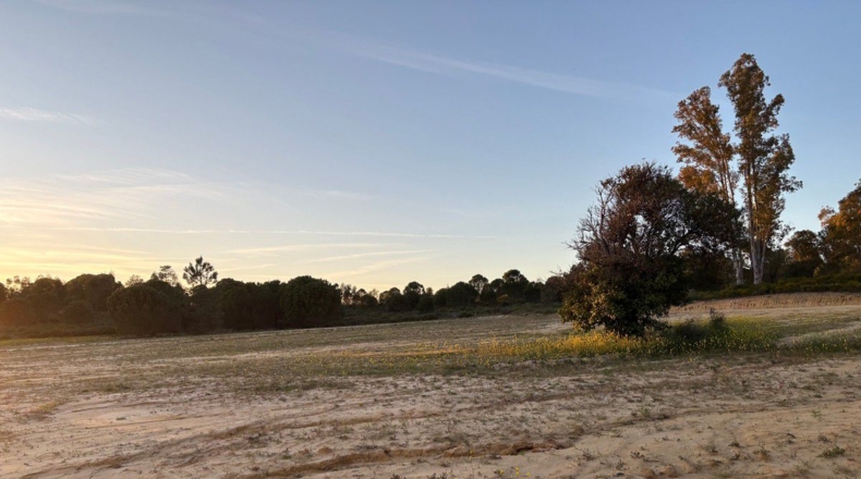 Huelva - Bollullos Par del Condado - 8900m2