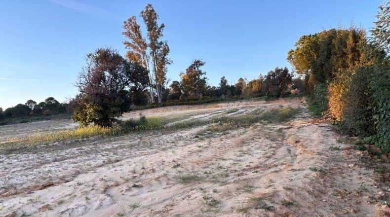 Huelva - Bollullos Par del Condado - 8900m2