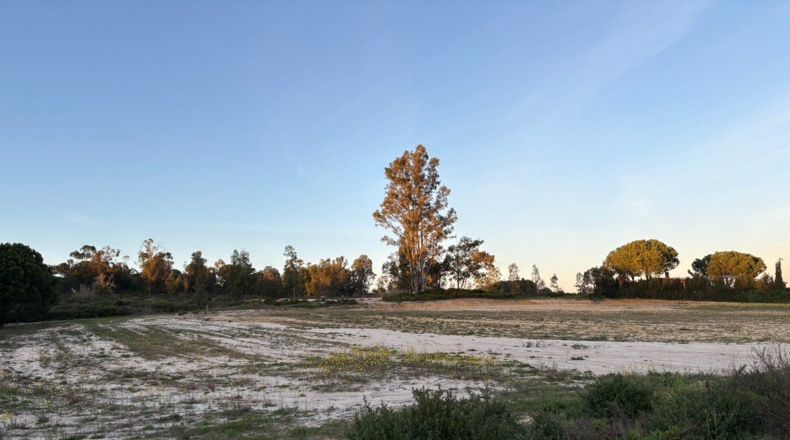 Huelva - Bollullos Par del Condado - 8900m2