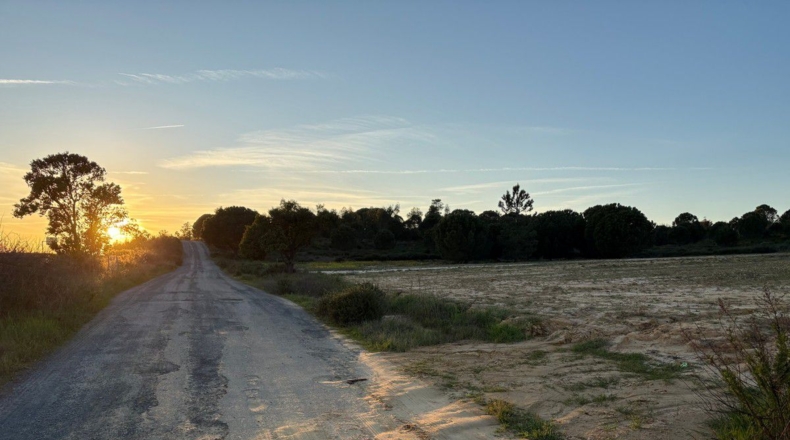 Huelva - Bollullos Par del Condado - 8900m2
