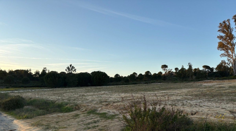 Huelva - Bollullos Par del Condado - 8900m2