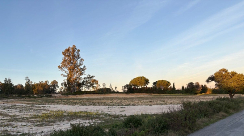 Huelva - Bollullos Par del Condado - 8900m2