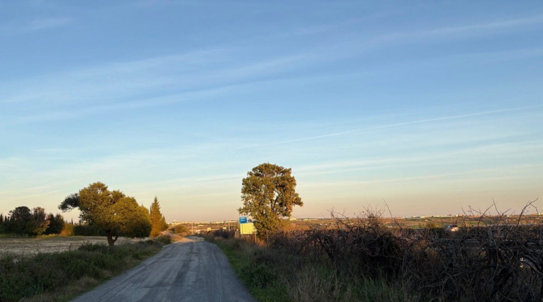 Huelva - Bollullos Par del Condado - 8900m2
