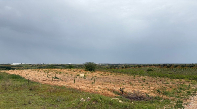 Huelva - Bollullos Par del Condado - 6489m2