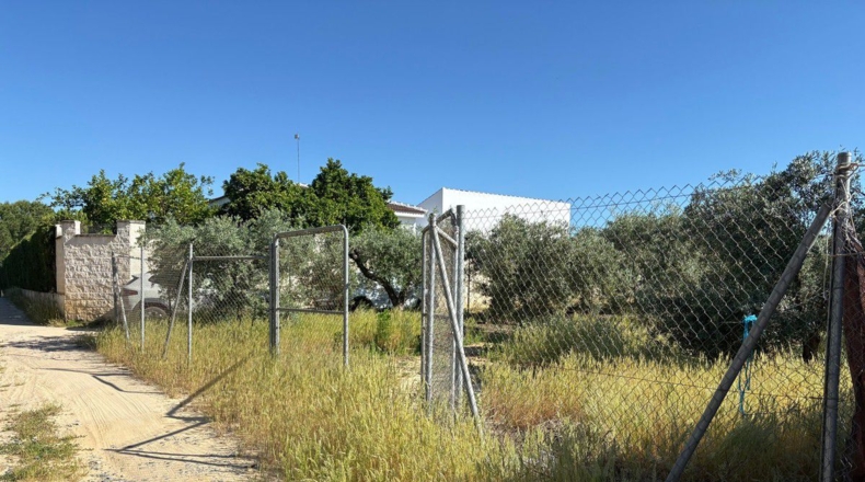 Huelva - Bollullos Par del Condado - 3800m2