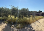Terreno no urbanizable en venta en Bollullos Par del Condado ref: TR233874 foto