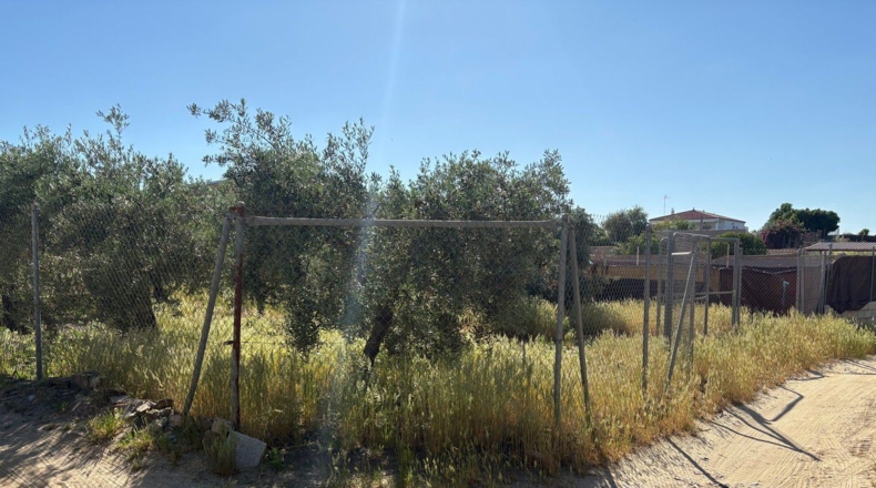 Huelva - Bollullos Par del Condado - 3800m2