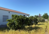Terreno no urbanizable en venta en Bollullos Par del Condado ref: TR233874 foto