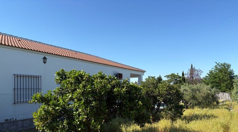 Huelva - Bollullos Par del Condado - 3800m2