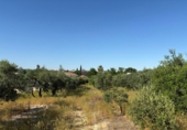 Terreno no urbanizable en venta en Bollullos Par del Condado ref: TR233874 foto