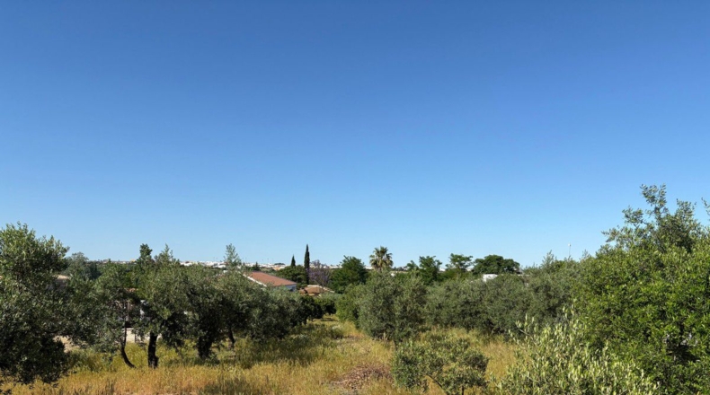 Huelva - Bollullos Par del Condado - 3800m2