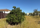 Terreno no urbanizable en venta en Bollullos Par del Condado ref: TR233874 foto