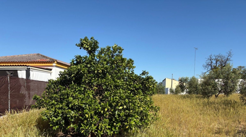 Huelva - Bollullos Par del Condado - 3800m2