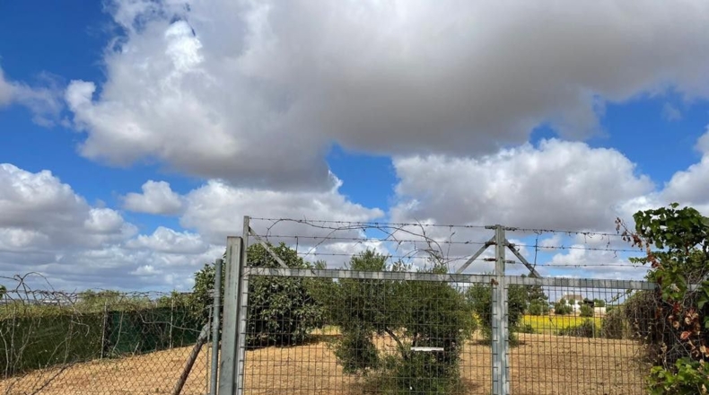 Huelva - Bollullos Par del Condado - 2000m2