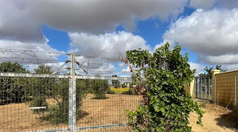 Huelva - Bollullos Par del Condado - 2000m2