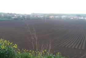 Foto 19