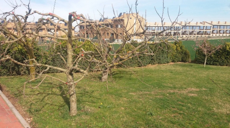 La Rioja - Uruñuela - 1300m2