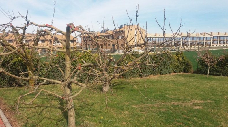 La Rioja - Uruñuela - 1300m2