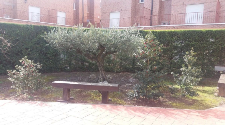 La Rioja - Uruñuela - 1300m2