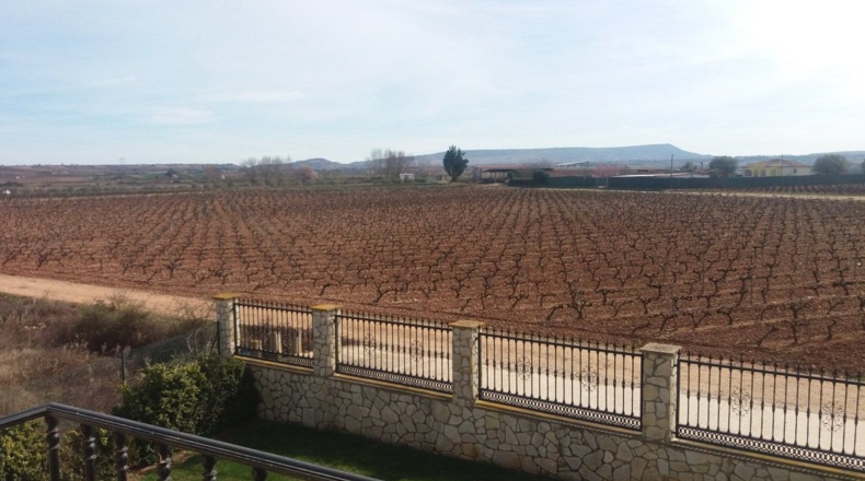 La Rioja - Uruñuela - 1300m2