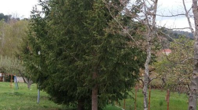 Burgos - Belorado - 453m2