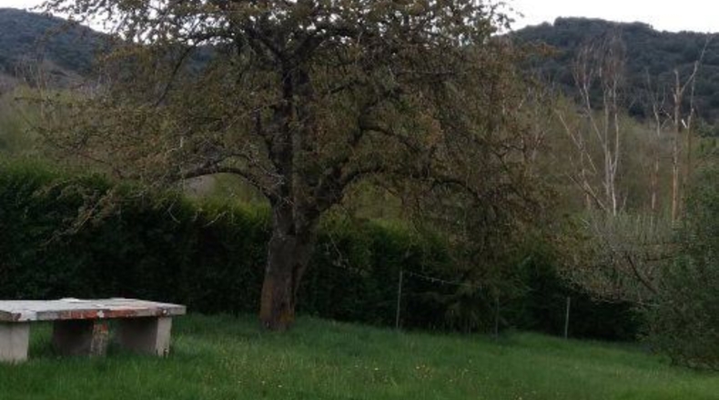 Burgos - Belorado - 453m2