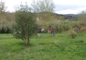 Casa de poble en venda a Belorado ref.: TR20808 foto