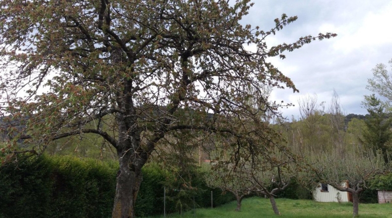 Burgos - Belorado - 453m2