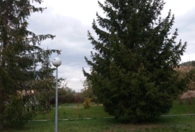 Foto 16