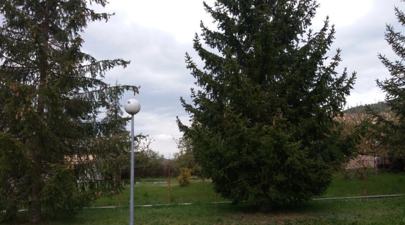 Burgos - Belorado - 453m2
