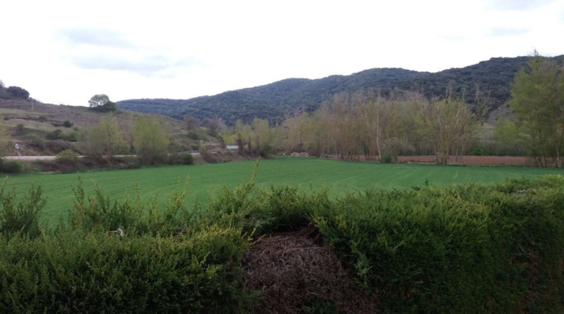 Burgos - Belorado - 453m2