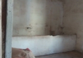Casa de poble en venda a Santo Domingo de la Calzada ref.: TR202540 foto
